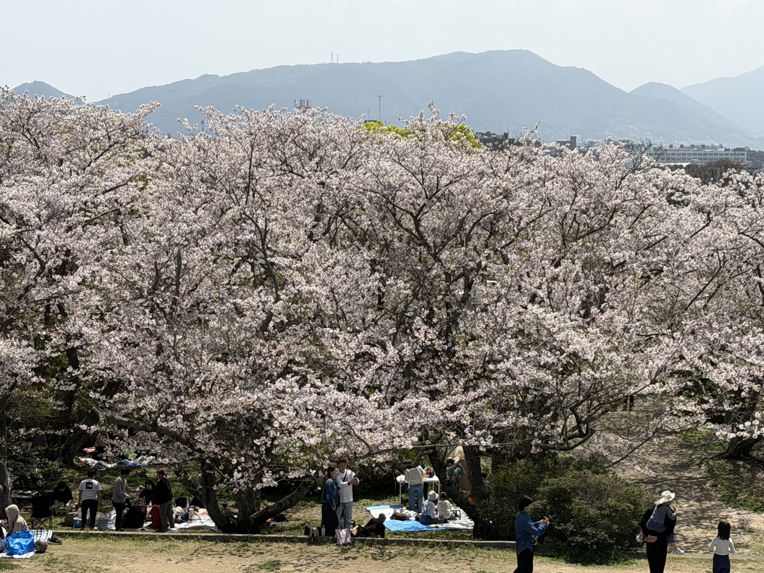 ＜49＞自律神経の乱れに
